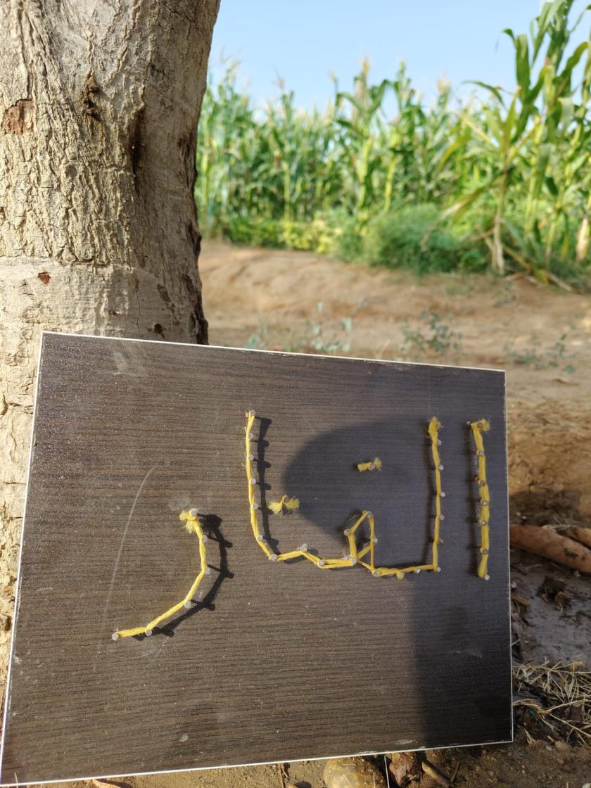 أطفال يتعلمون ويلعبون وسط الطبيعة في مساحة الفنار